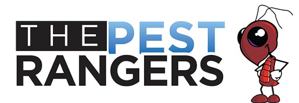 At The Pest Rangers, we're more than just a pest control company- we're your trusted partners in safeguarding your home.